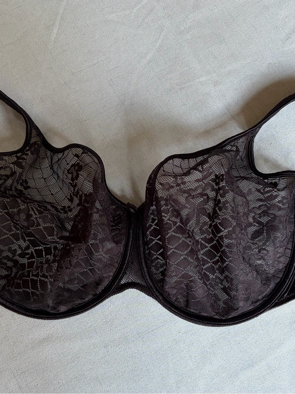 Sheer Floral Lace Underwire Bra — Black